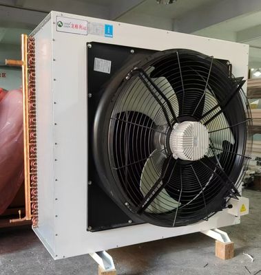 20 kW Seitenblaswärmeverteilung Fluorpumpe Kondensator Trockenkühlsystem